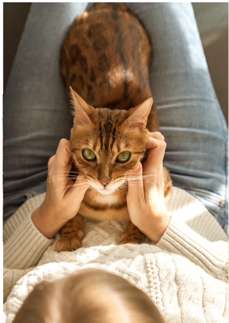 visite à domicile pour chat et chien à Carvin, alentour et métropole lilloise